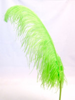 Lime Ostrich Feather Plume