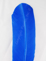 Turkey Feathers, wing rounds, dyed Blue, per DOZEN