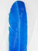 Turkey Feathers, wing rounds, dyed Turquoise, per DOZEN