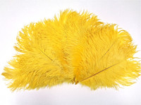 Ostrich Feather, Yellow,  8-12 Inch size, per Each