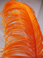 Orange Ostrich Feather Plume Premium Large 22-28 inch per Each (owpora)