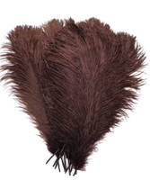 Chocolate Brown Ostrich Feathers 12-16 inch long per each