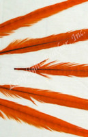 Orange Dyed Ring-necked Pheasant Tail Feather