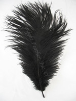 Black Ostrich Feather #2 grade 16-19 inch Long per Each Black Ostrich Feather #2 grade 16-19 inch Long per Each