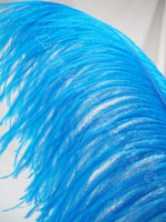 Turquoise Ostrich Feather Plume 18-24+ inch per Each