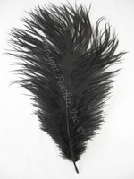 small ostrich feathers