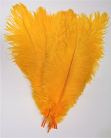Gold OSTRICH Feathers