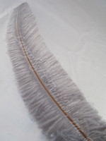 OSTRICH NANDU, LONG, Gray 16-19 inch - per Each OSTRICH NANDU, LONG, Gray 16-19 inch - per Each