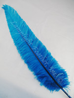 OSTRICH NANDU, LONG, Turquoise 16-19 inch per Each