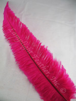 OSTRICH NANDU, SHORT, Fuchsia 8-12 inch per Each