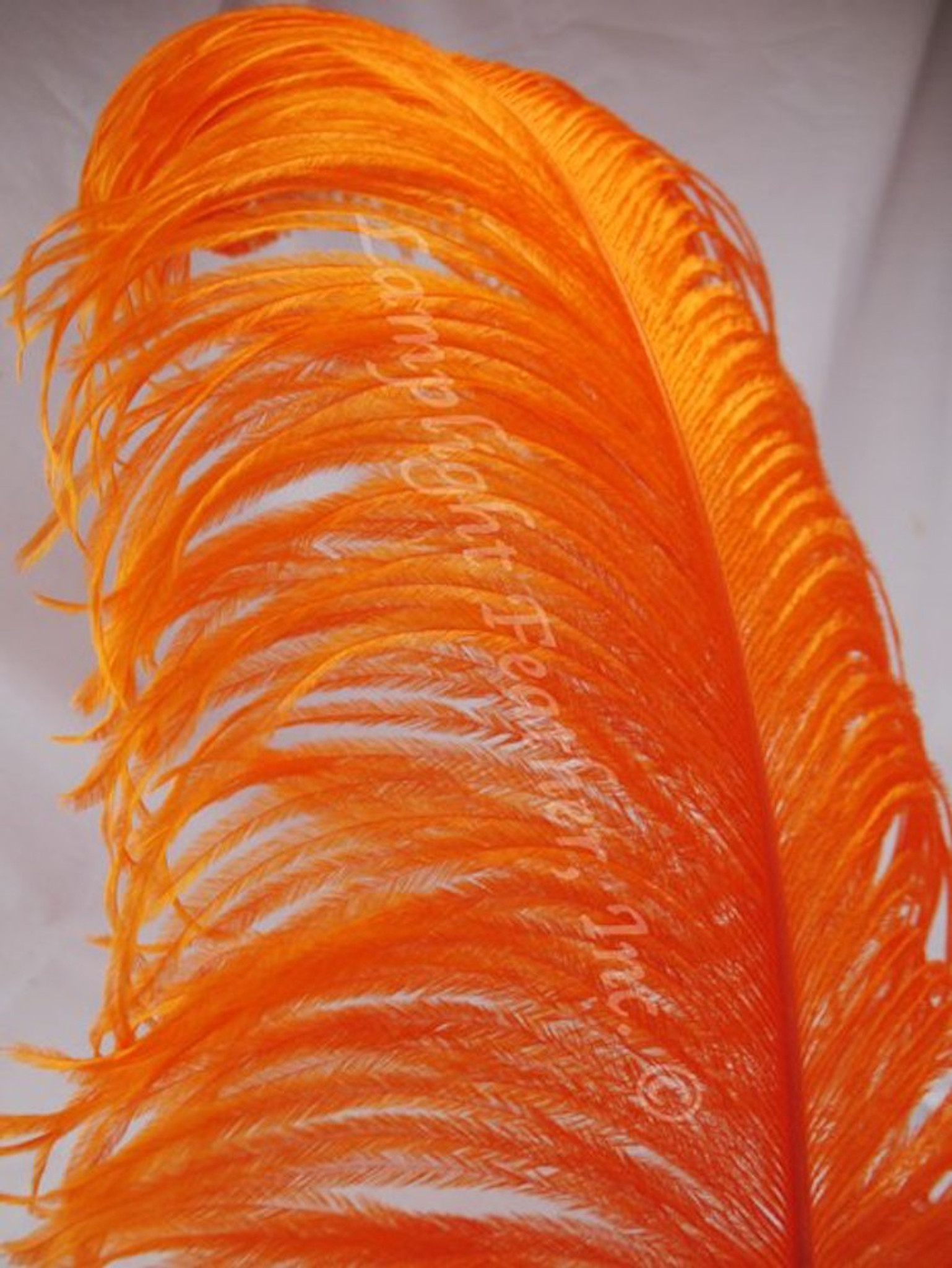 Skinny Marabou Feather Boa - 2 Yards - Orange 