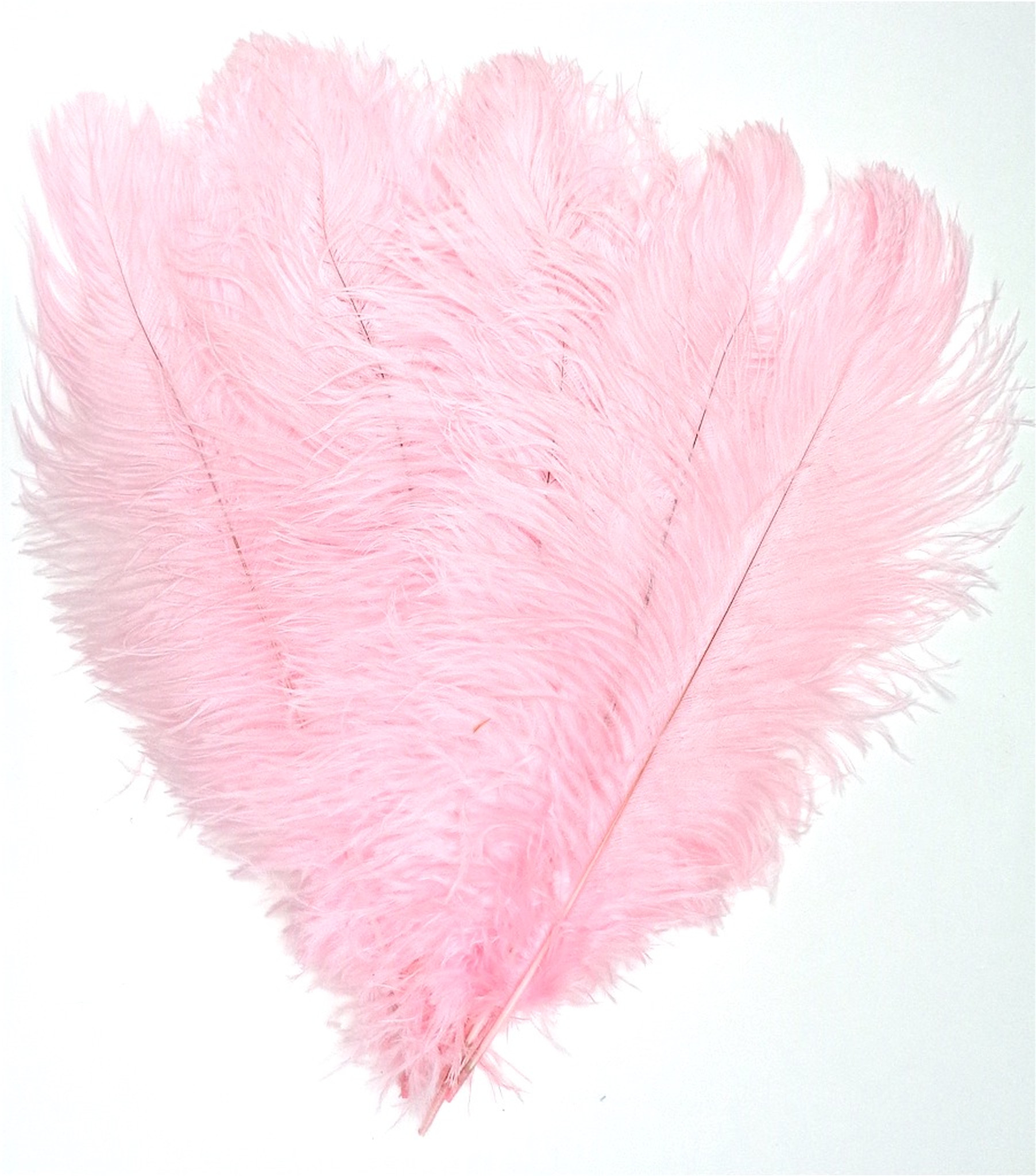 Light Pink Ostrich Feather 16-20 inch Long per Each