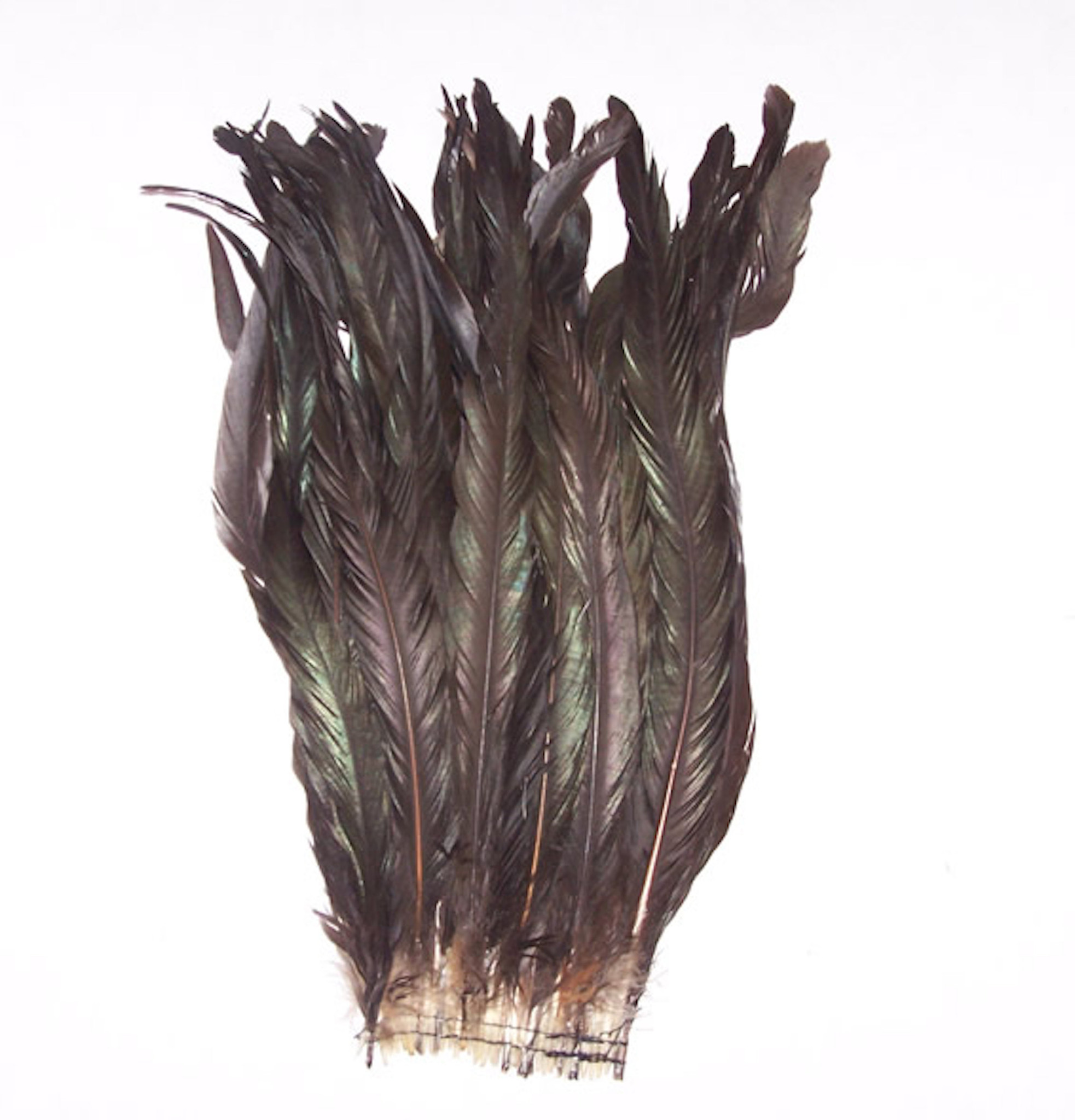 Rooster Feathers Cocktails, 12-16 by the foot – Schuman Feathers
