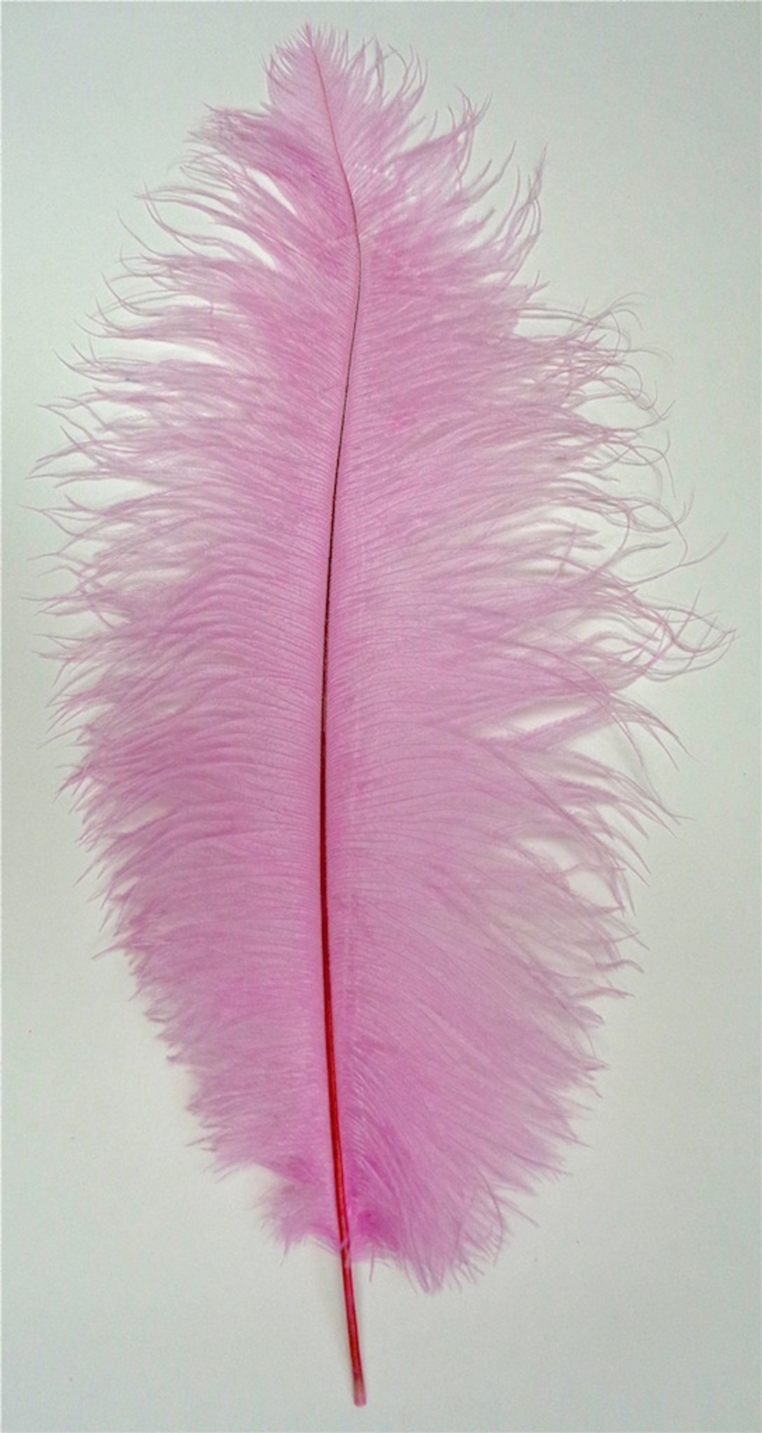 10 X Gorgeous Pink Ostrich Feathers Wired High Quality 