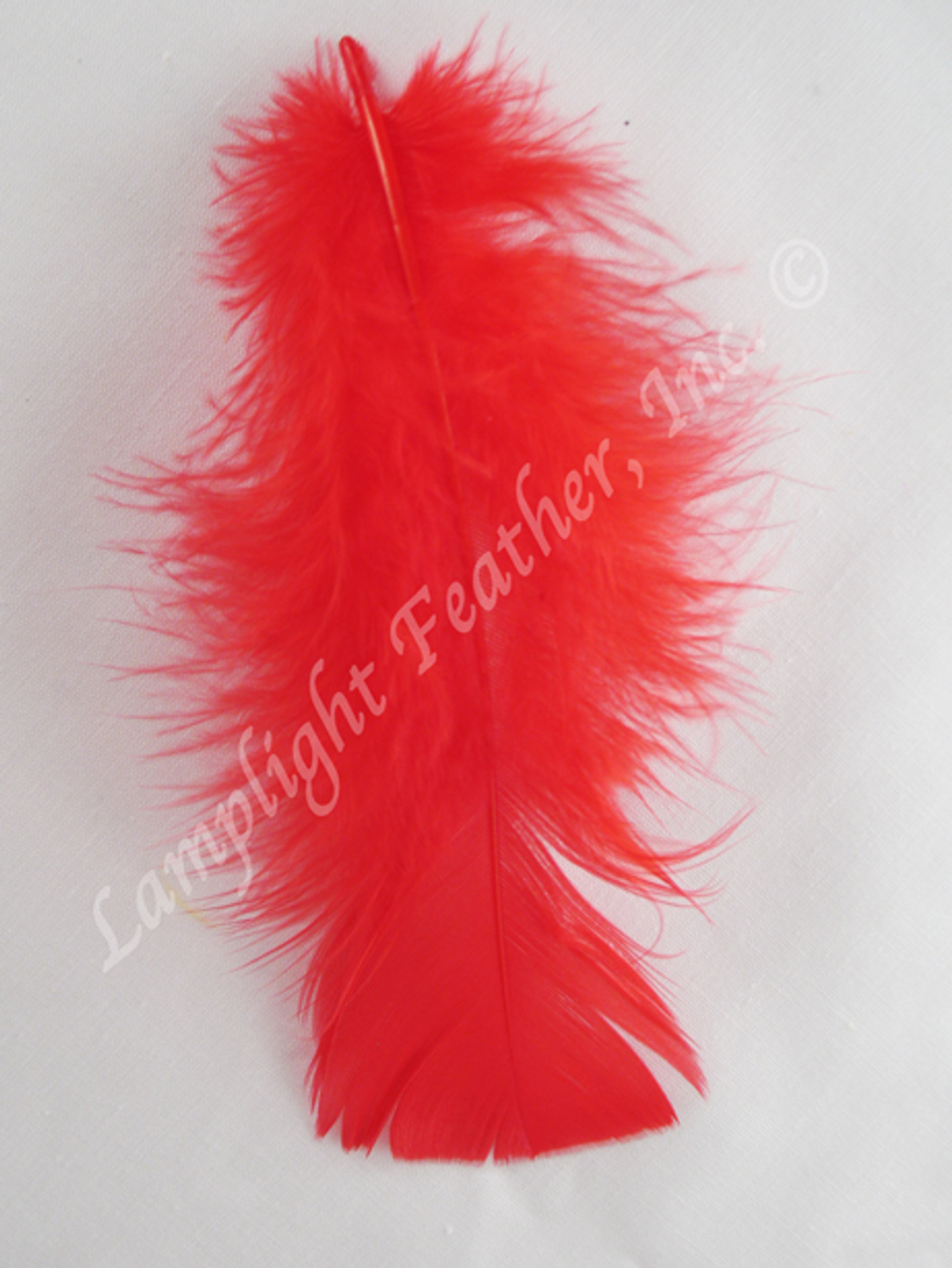 Red Turkey Plumage (flats) Craft Feathers per Ounce from Lamplight