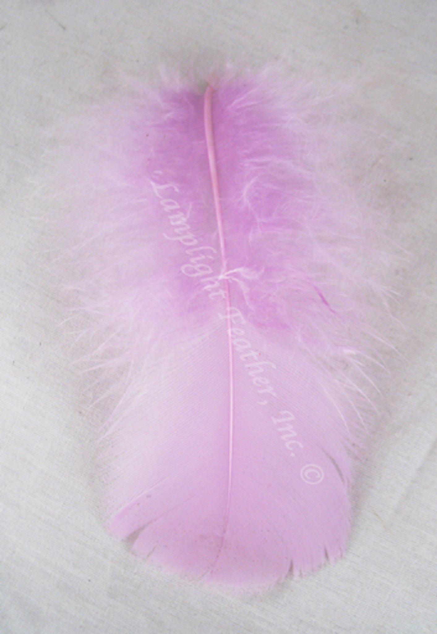 Orchid Turkey Plumage (flats) Craft Feathers per Ounce from Lamplight ...
