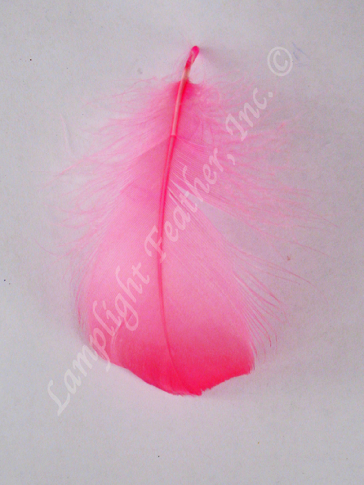 Hawaiian Feather Lei Goose Coquilles Flamingo Hot Pink Strung per Ounce