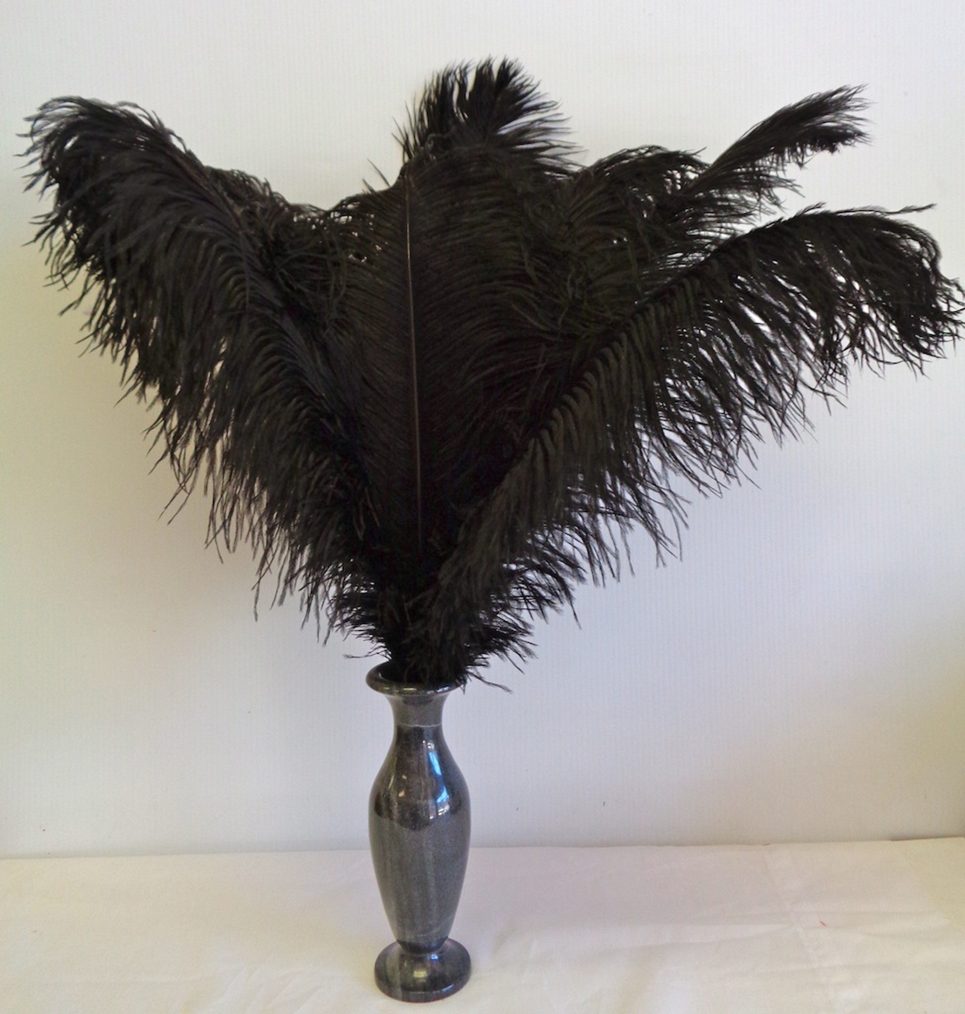 Black Ostrich Feathers