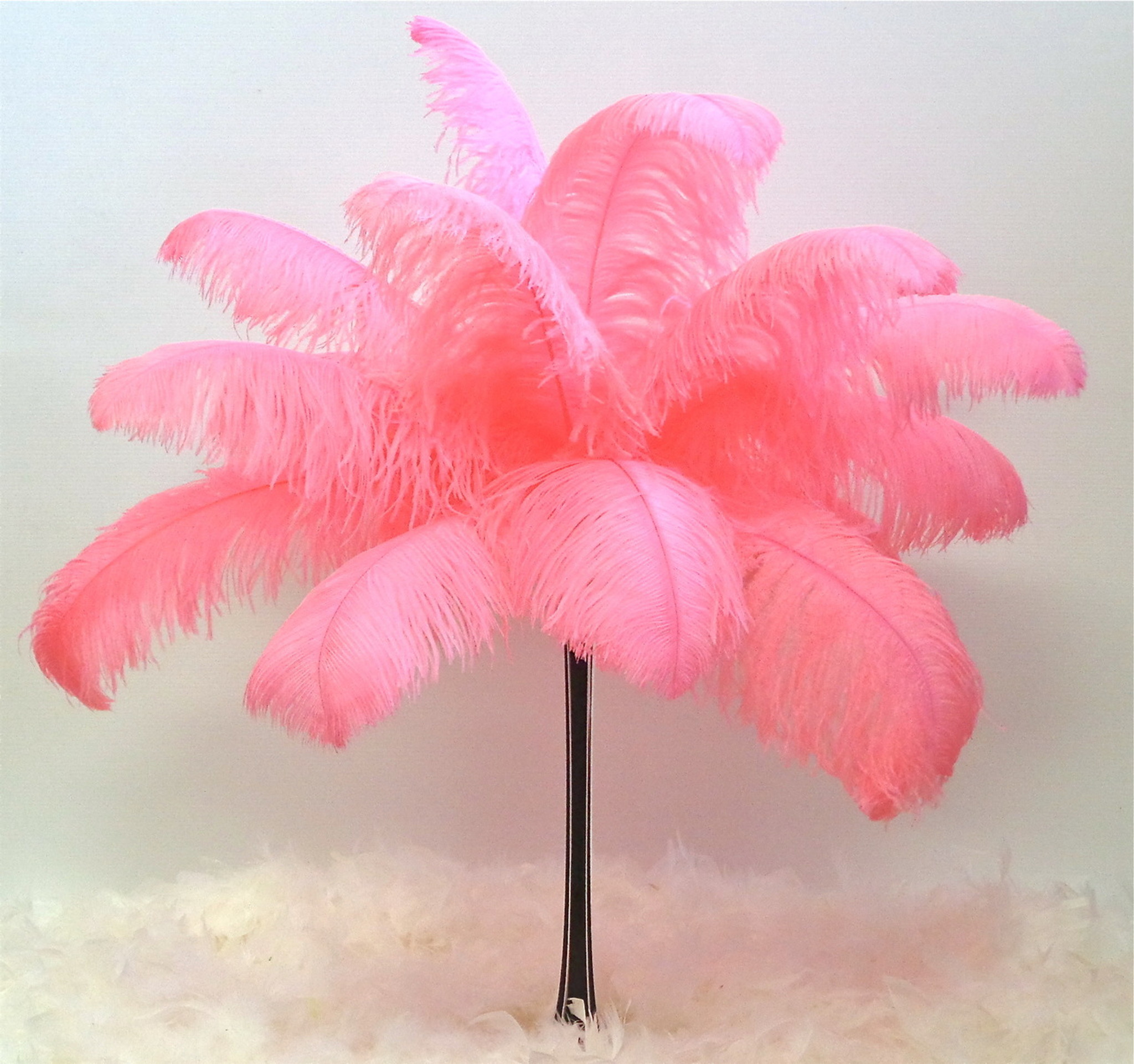 Hot Pink Ostrich Feathers 12-16 inch long per each
