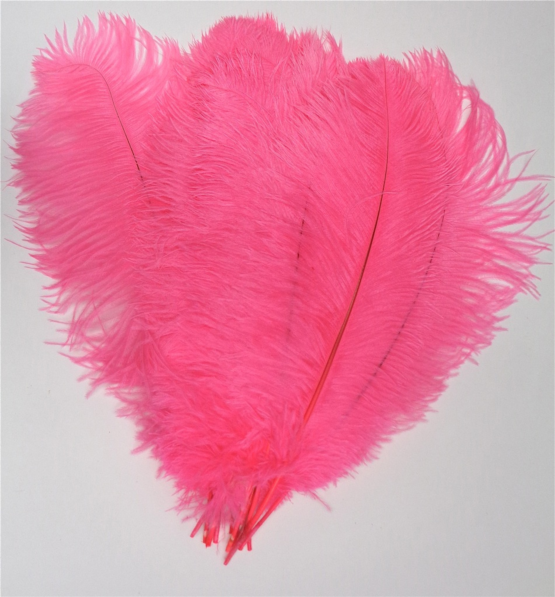 Hot Pink Ostrich Feather 16-20 inch Long per Each