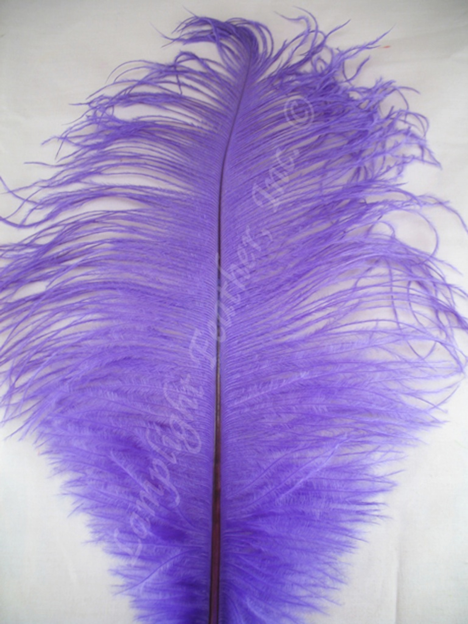 Lavender Ostrich Feathers 12-16 inch long per each