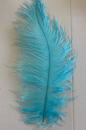 Aqua Ostrich Feather Seconds 12-16 per 6