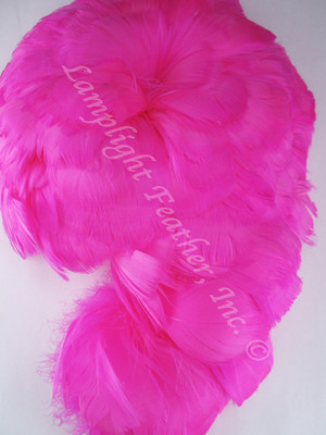 GOOSE COQUILLES, dyed Fuchsia, per foot GOOSE COQUILLES, dyed Fuchsia, per foot