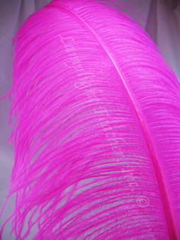 OSTRICH WING PLUMES, PREMIUM, Fuchsia , per Each