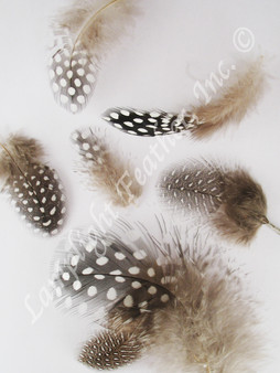 Guinea Plumage Craft Feathers NATURAL per half ounce
