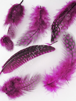 Guinea Plumage Craft Feathers Hot Pink per half ounce