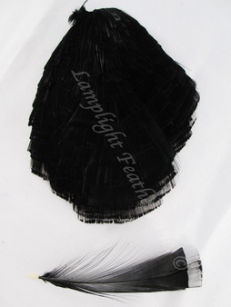 TIPPET CAPE, GoldEN Pheasant, dyed Black, per Each