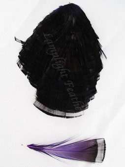 TIPPET CAPE, GoldEN Pheasant, dyed Purple, per Each