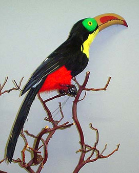 Toucan Decorative Artificial Artificial Bird,22 inch, per Each