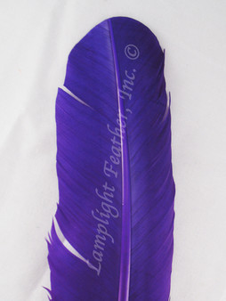 Turkey Feathers, wing rounds, dyed Purple, per DOZEN