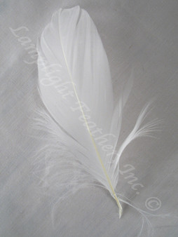 GOOSE SHOULDER Feathers, NATURAL White, per Ounce