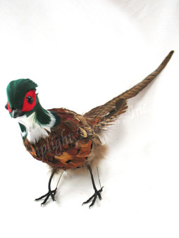 Ring-necked Pheasant Decorative Bird Standing 16 inch per Each