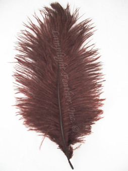 Chocolate Brown Ostrich Feathers 12-16 inch long per each
