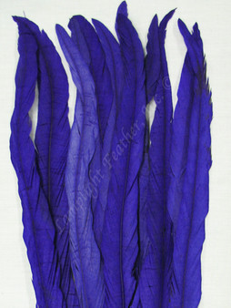 Coque, 15-18 inch, Purple, per DOZEN