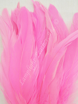 COQUE, 5-8 inch, PINK, per 25