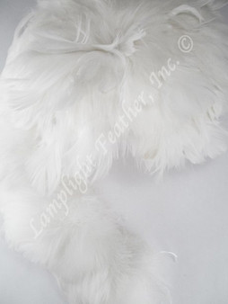 Hawaiian Feather Lei Coquilles White Strung per yard