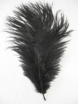 Black OSTRICH FEATHER, LONG, per Each