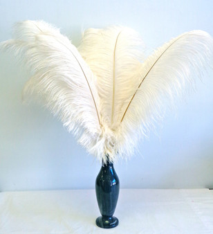 White Ostrich Feather 16-20 inch Long in vase arrangement