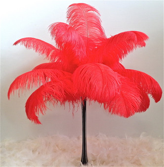 Red Ostrich Feather 18-20 inch Long per Each
