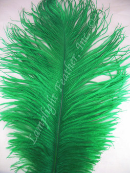 Green Ostrich Feathers