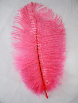 Hot Pink  Ostrich Feathers