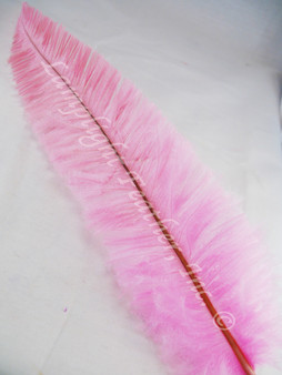 OSTRICH NANDU, LONG, Candy pink 16-19 inch - per Each