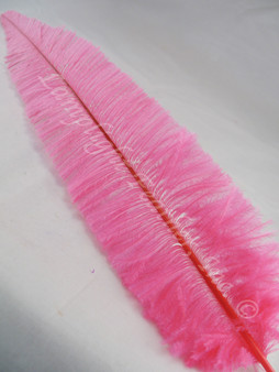 OSTRICH NANDU, LONG, Hot Pink 16-19 inch  per Each