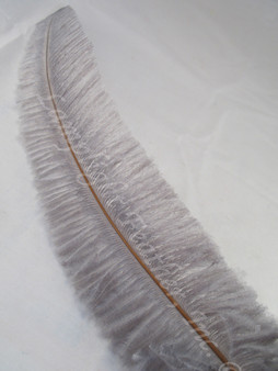 OSTRICH NANDU, SHORT, Gray 8-12 inch per Each
