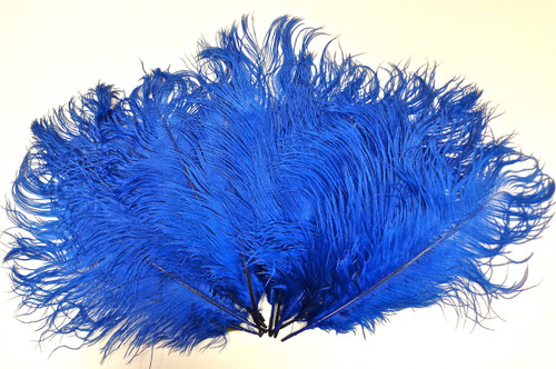 ostrich feathers blue