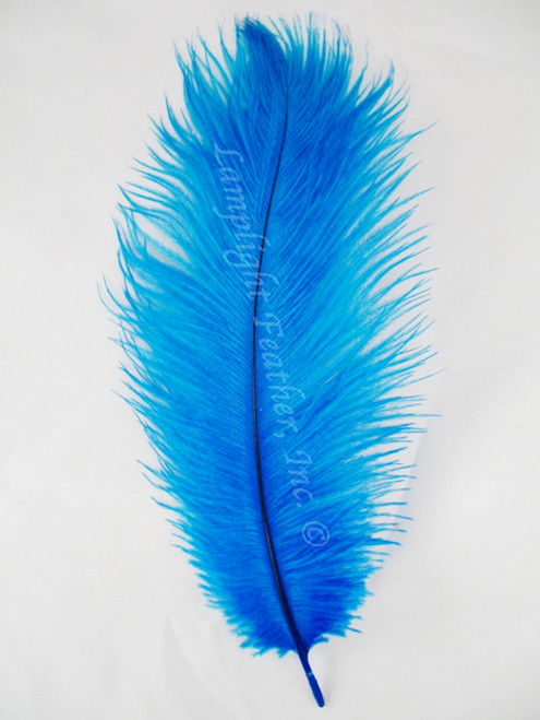 10  FIRST A GRADE TURQUOISE DRABS 125-150 MM 5-6 INCH OSTRICH FEATHER HURL 